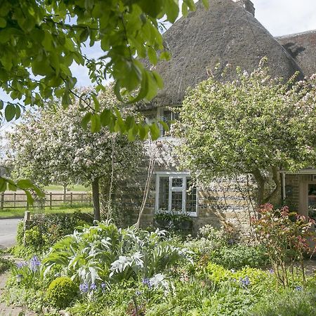 Tudor Cottage B&B Frampton Dorchester Kültér fotó