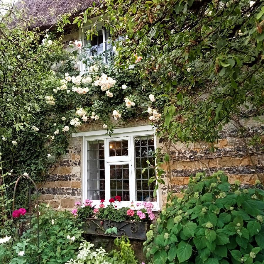Tudor Cottage B&B Frampton Dorchester Kültér fotó