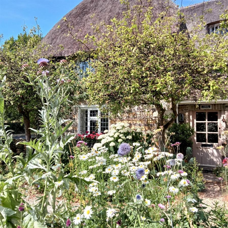 Tudor Cottage B&B Frampton Dorchester Kültér fotó
