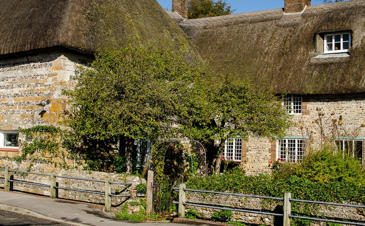 Tudor Cottage B&B Frampton Dorchester Kültér fotó